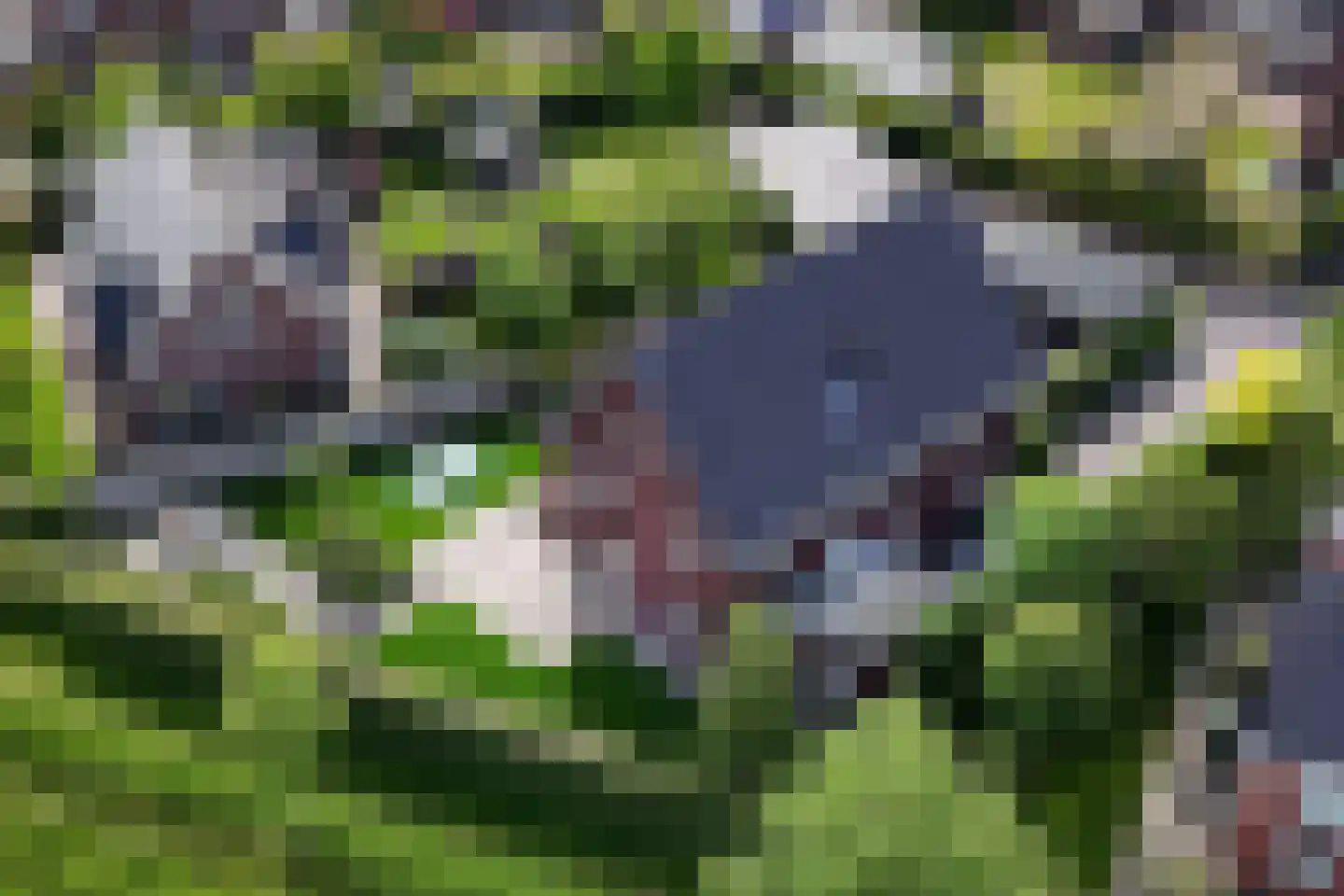 Bataaf 23 Elst thumbnail 57