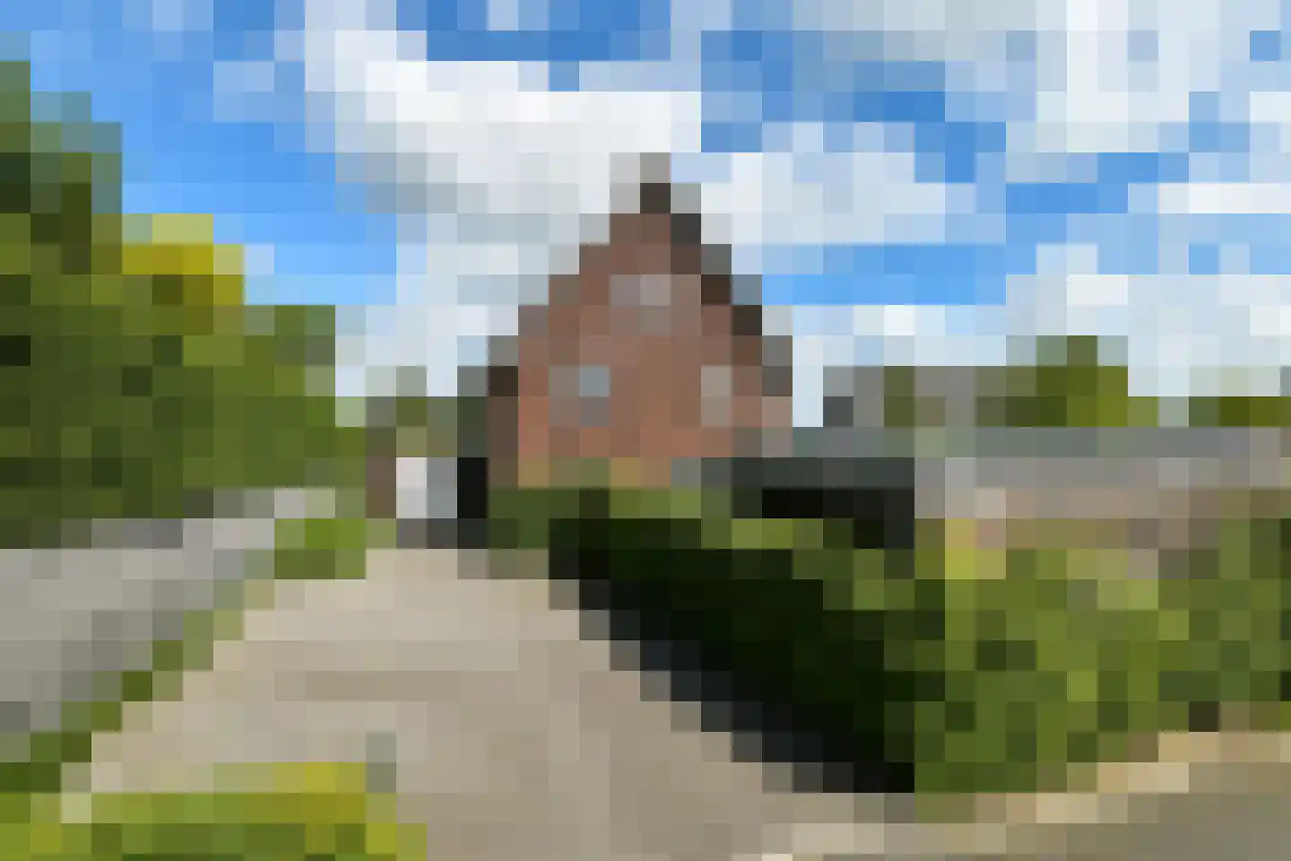 Bataaf 23 Elst thumbnail 59