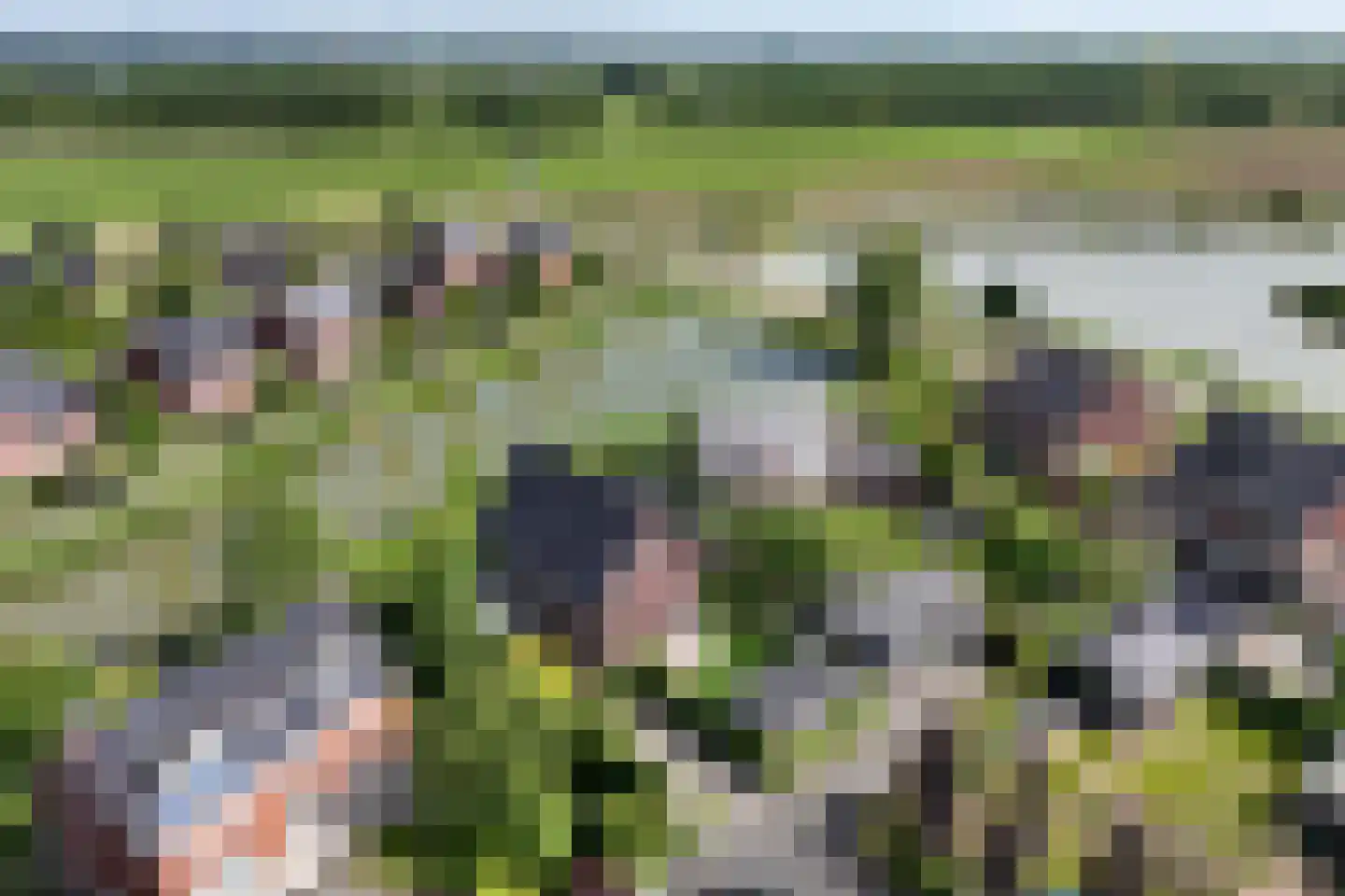 Bataaf 23 Elst thumbnail 60