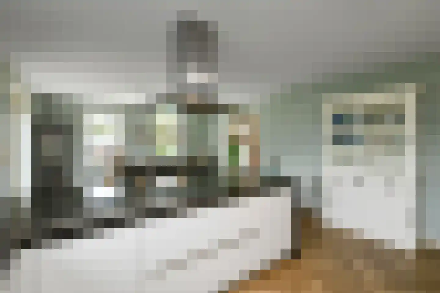 Bataaf 23 Elst thumbnail 8