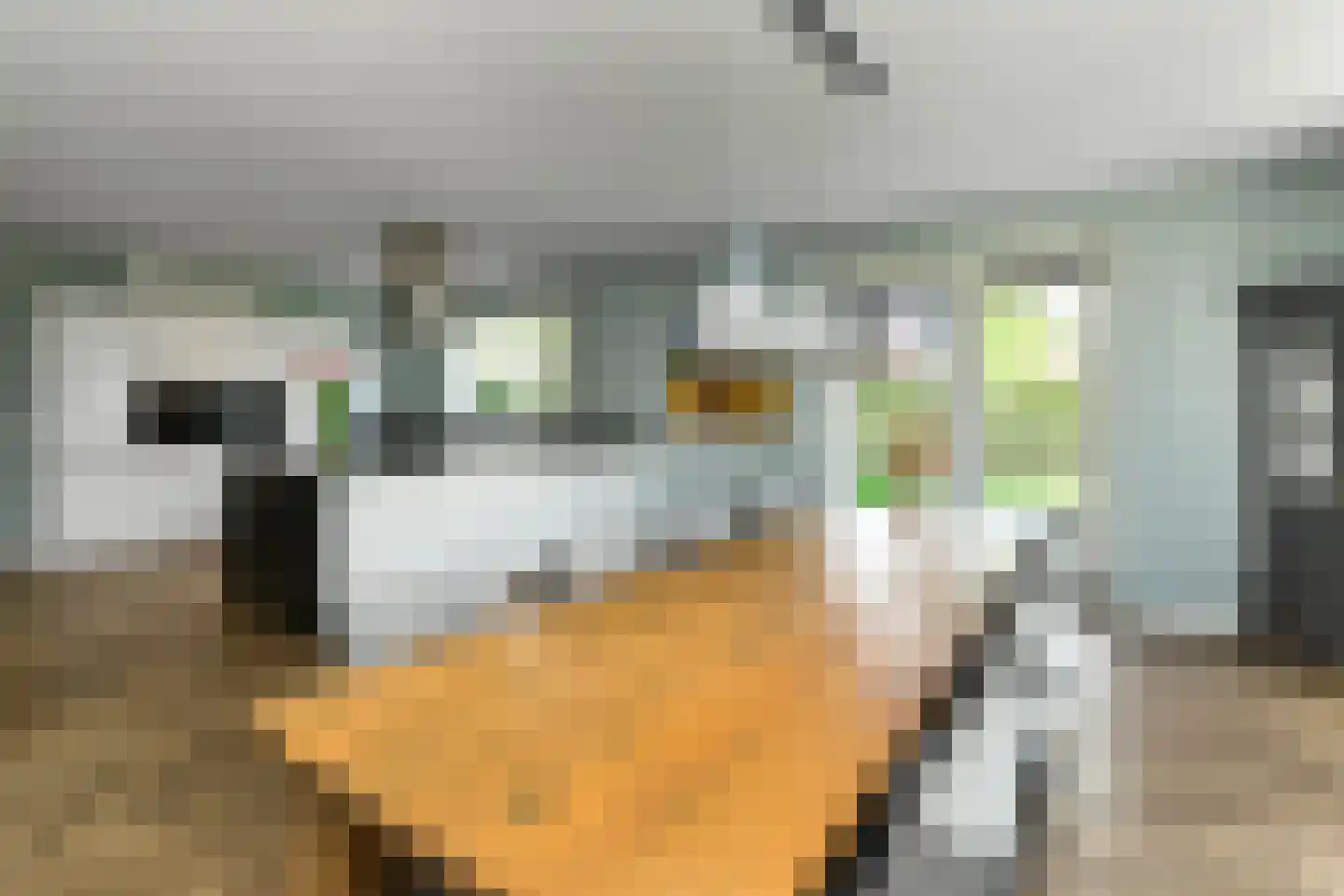 Bataaf 23 Elst thumbnail 9