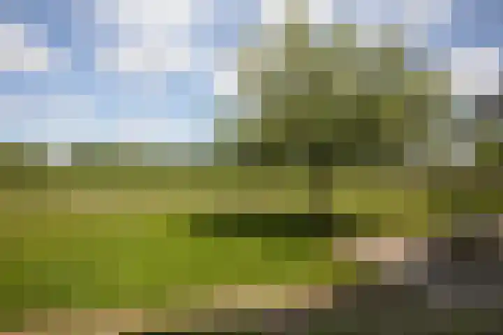 Bataafseweg 4 a Winterswijk thumbnail 21