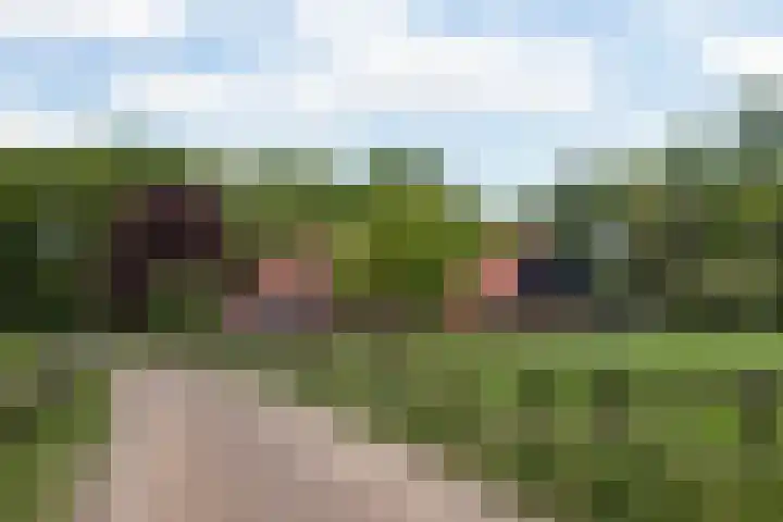 Bataafseweg 4 a Winterswijk thumbnail 4