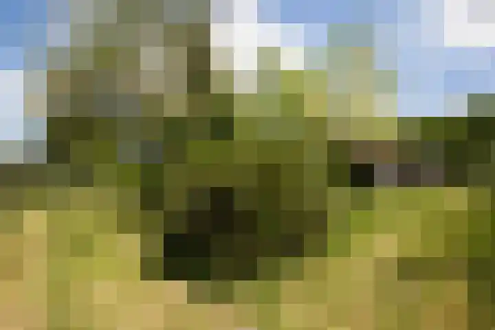 Bataafseweg 4 a Winterswijk thumbnail 54