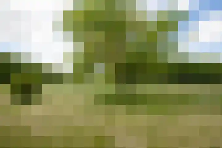 Bataafseweg 4 a Winterswijk thumbnail 57