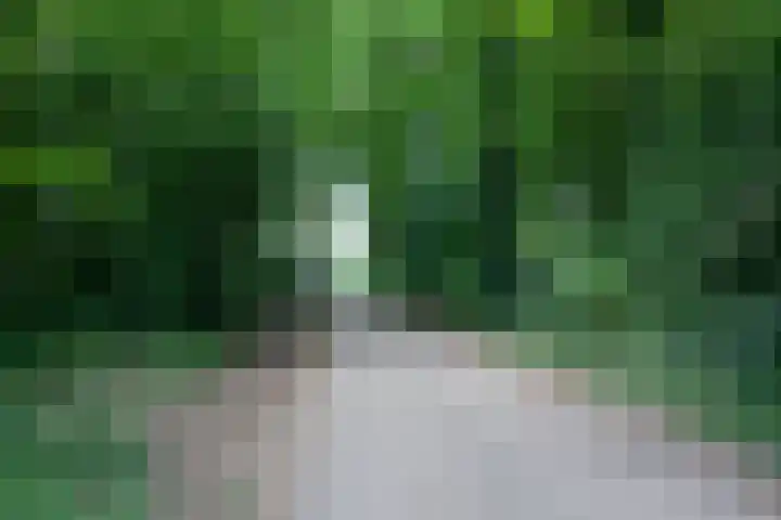 Bataafseweg 4 a Winterswijk thumbnail 58