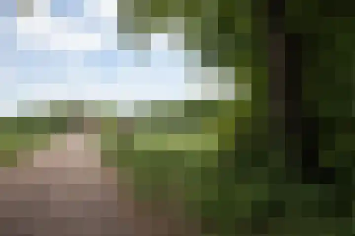 Bataafseweg 4 a Winterswijk thumbnail 59