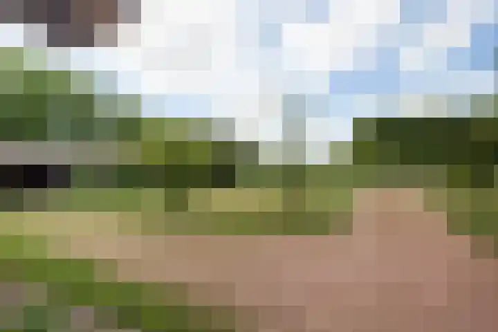 Bataafseweg 4 a Winterswijk thumbnail 7
