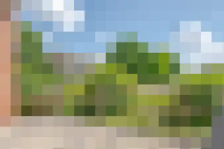 Batavenoord 1 Rotterdam thumbnail 20