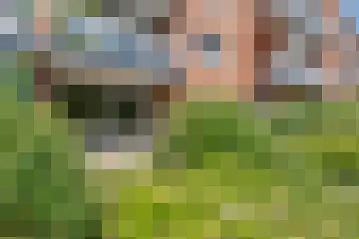 Batavenoord 1 Rotterdam thumbnail 23