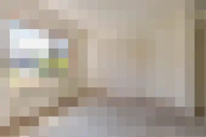 Batavenoord 1 Rotterdam thumbnail 4