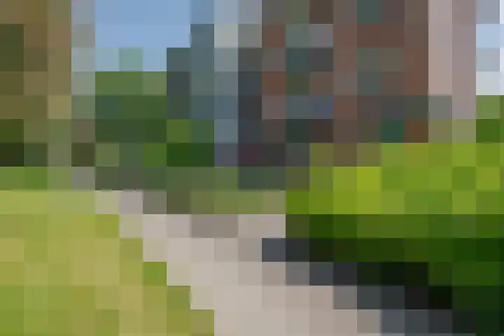 Batavenoord 1 Rotterdam thumbnail 7