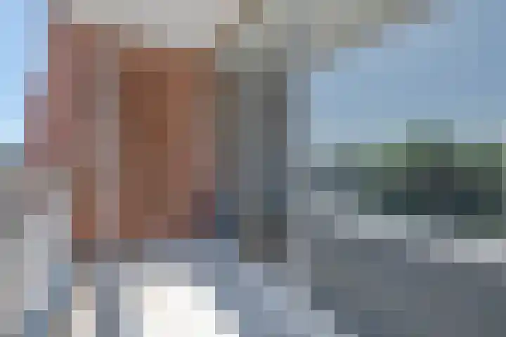 Batavenoord 21 Rotterdam thumbnail 15