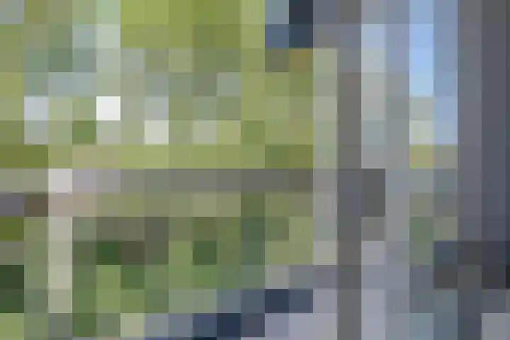 Batavenoord 21 Rotterdam thumbnail 21