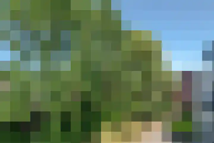 Batavenoord 21 Rotterdam thumbnail 24