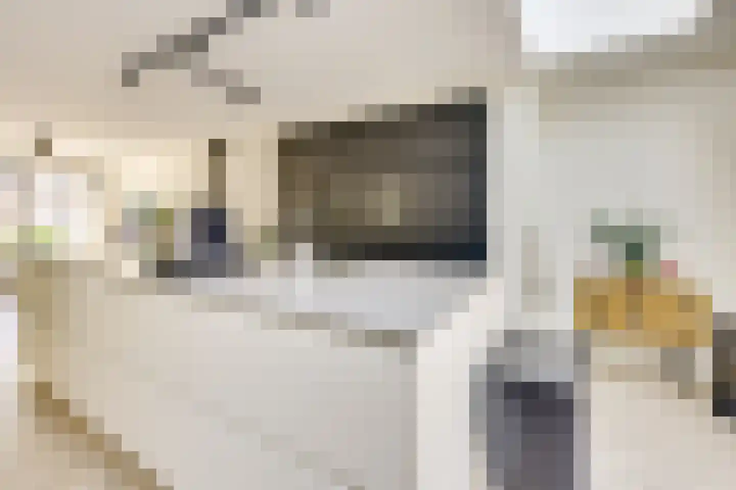 Batavenpoort 3 Houten thumbnail 19
