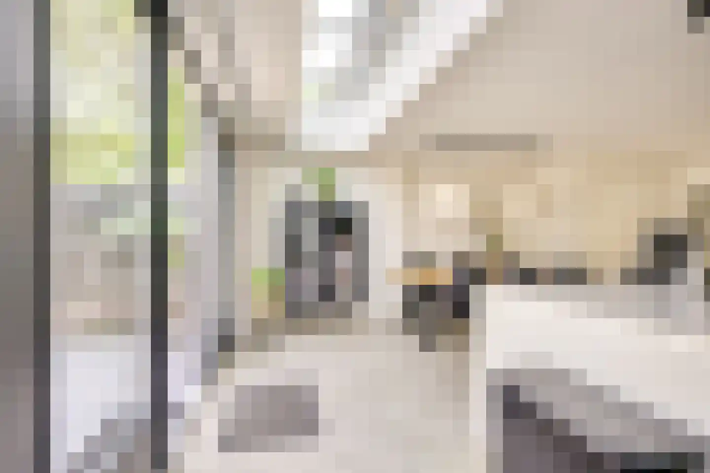 Batavenpoort 3 Houten thumbnail 20