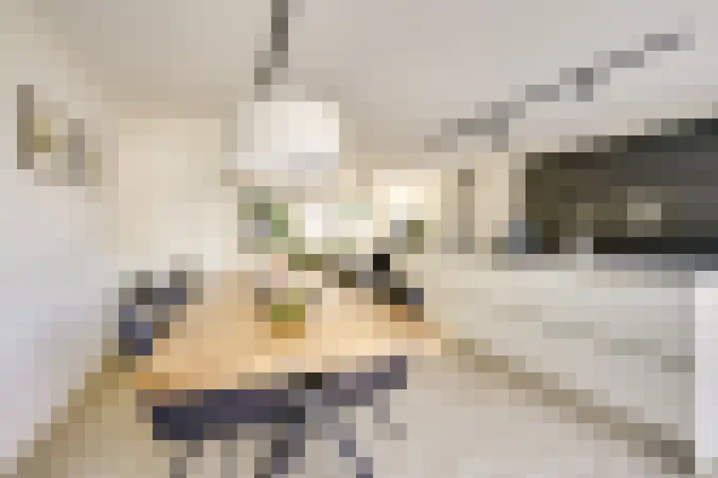 Batavenpoort 3 Houten thumbnail 22