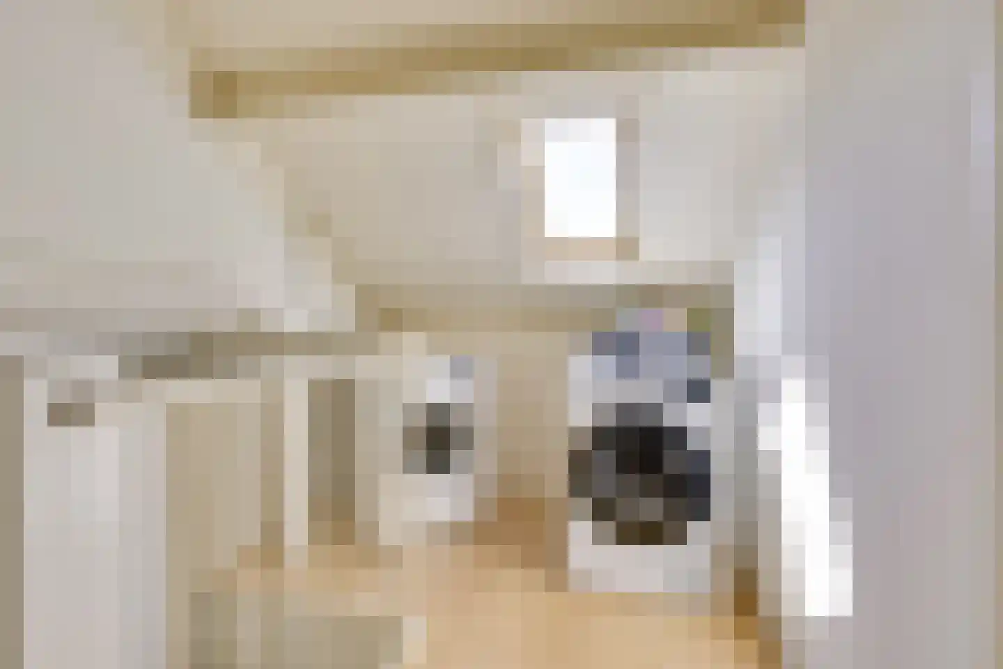 Batavenpoort 3 Houten thumbnail 41