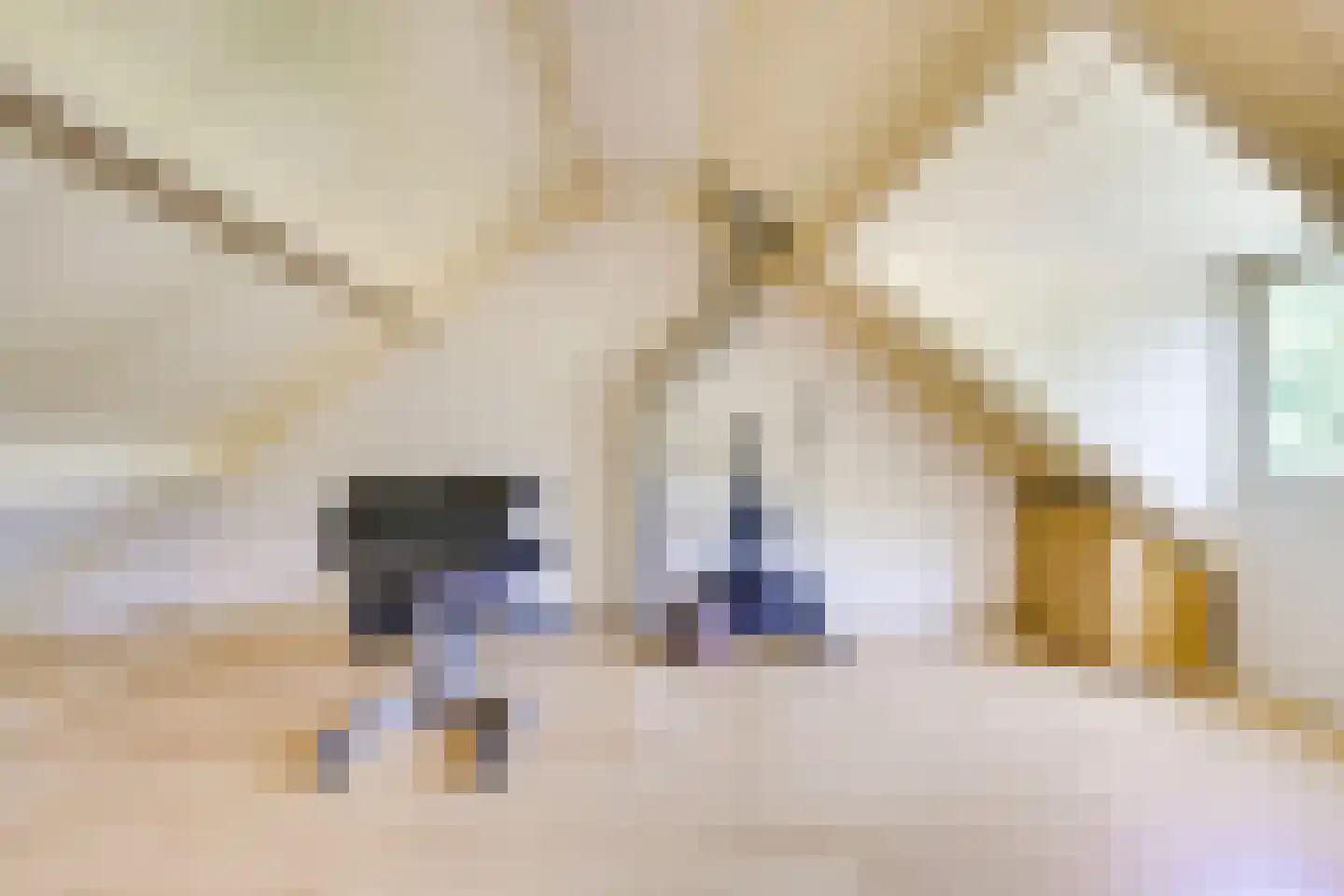 Batavenpoort 3 Houten thumbnail 42