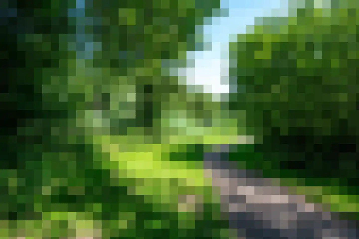 Batavenpoort 3 Houten thumbnail 60