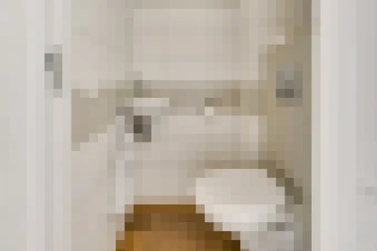 Batavenpoort 3 Houten thumbnail 7