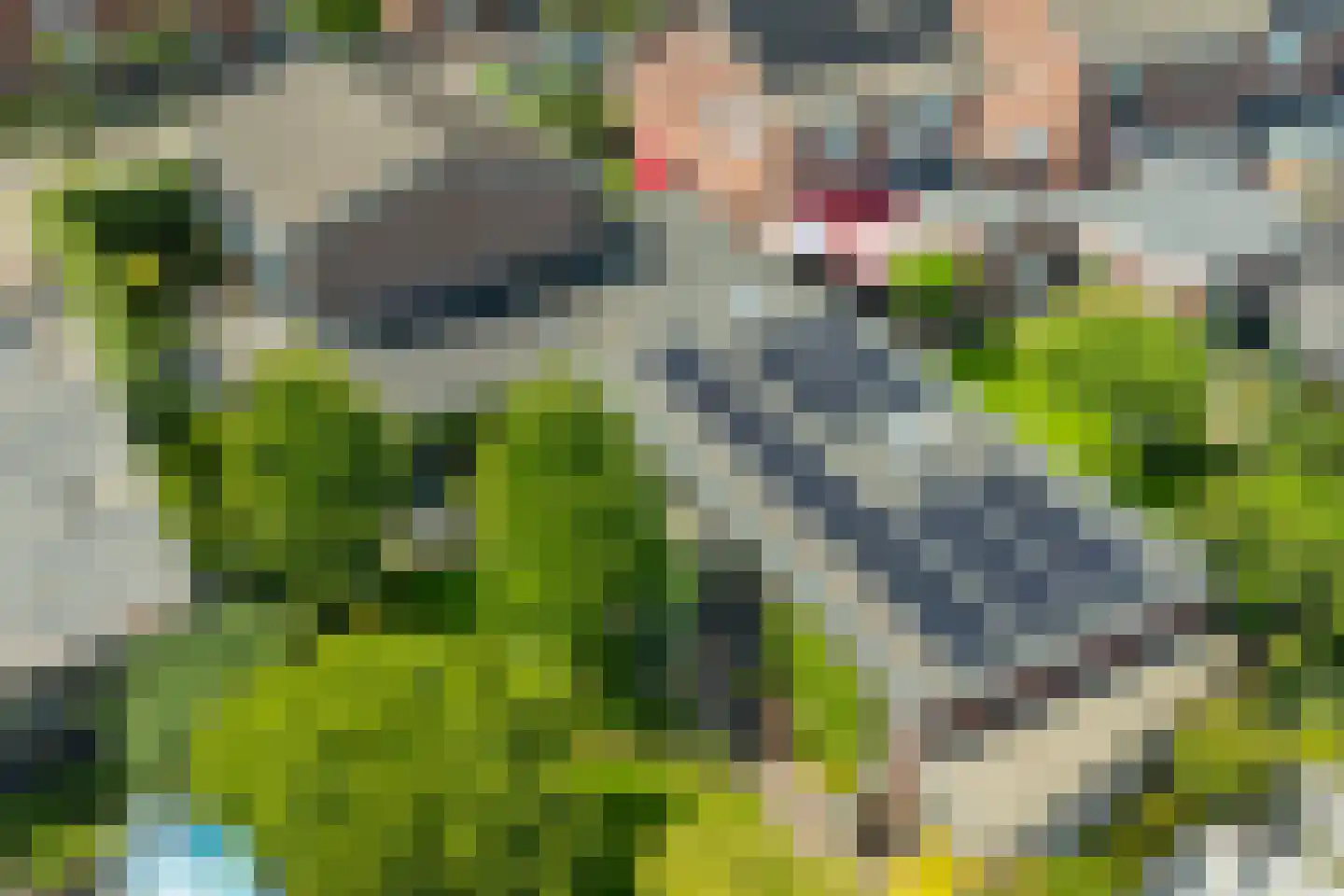 Batavenstraat 22 Aalten thumbnail 10