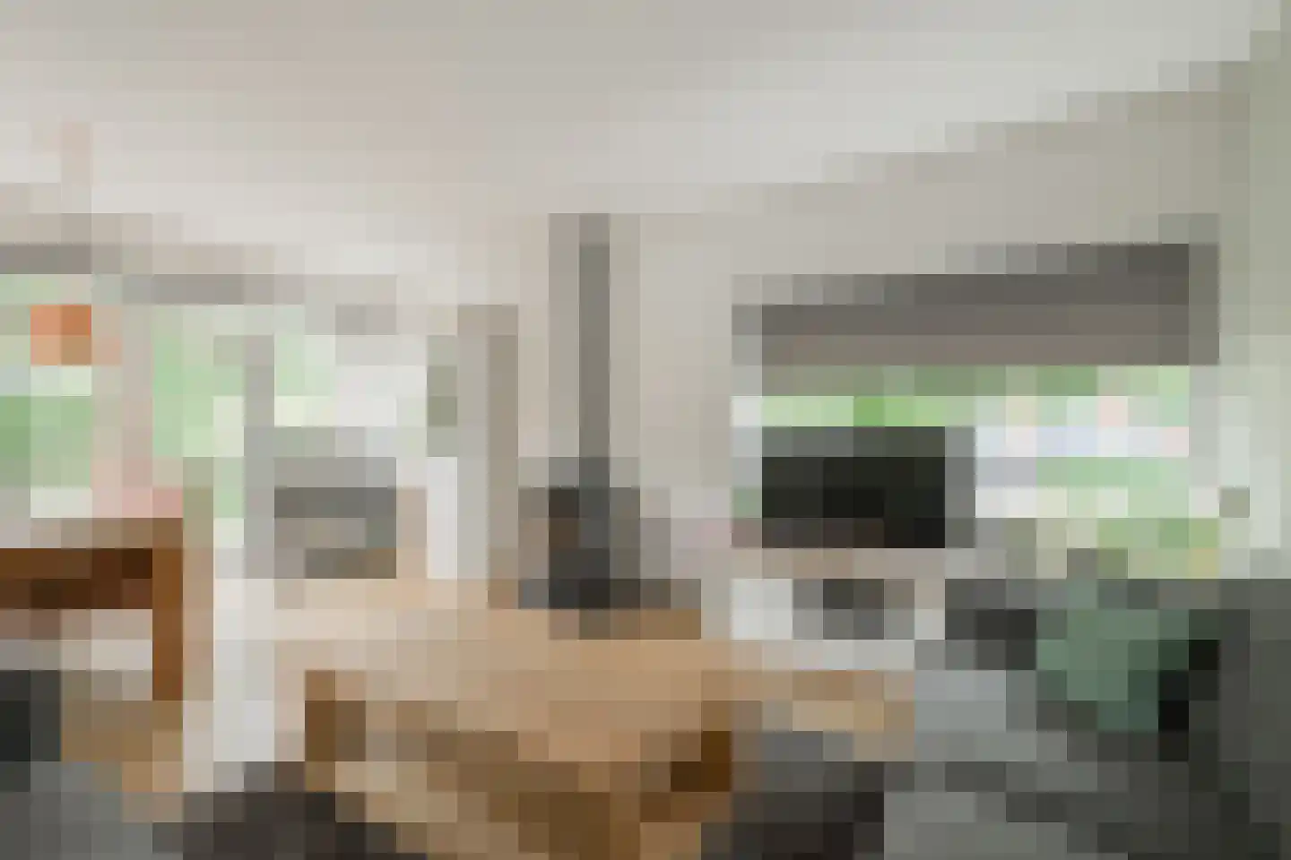 Batavenstraat 22 Aalten thumbnail 16