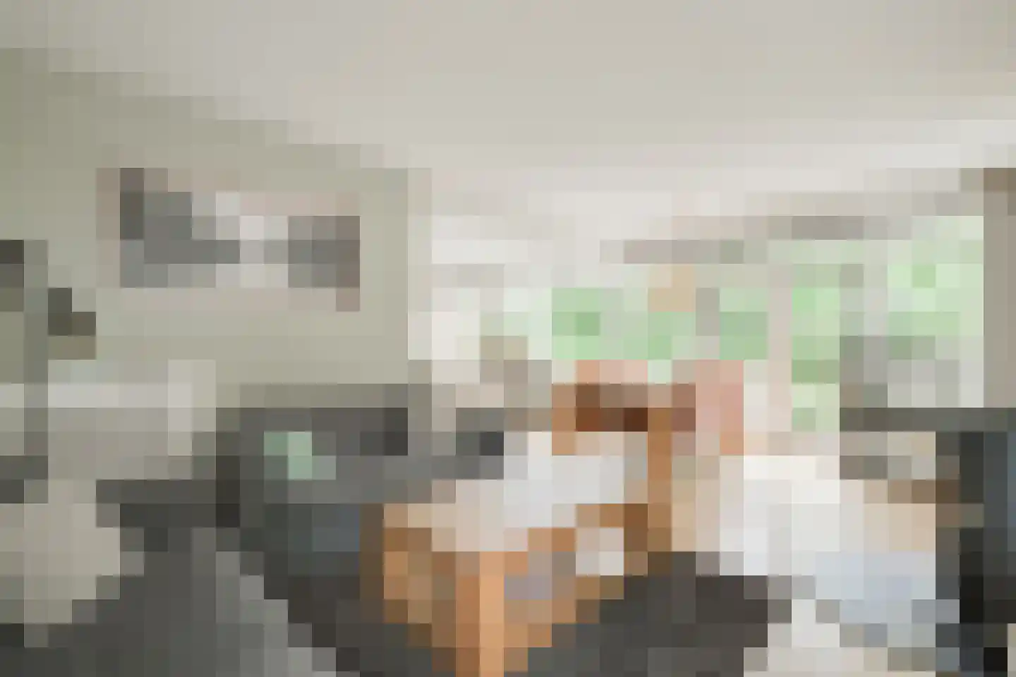 Batavenstraat 22 Aalten thumbnail 17