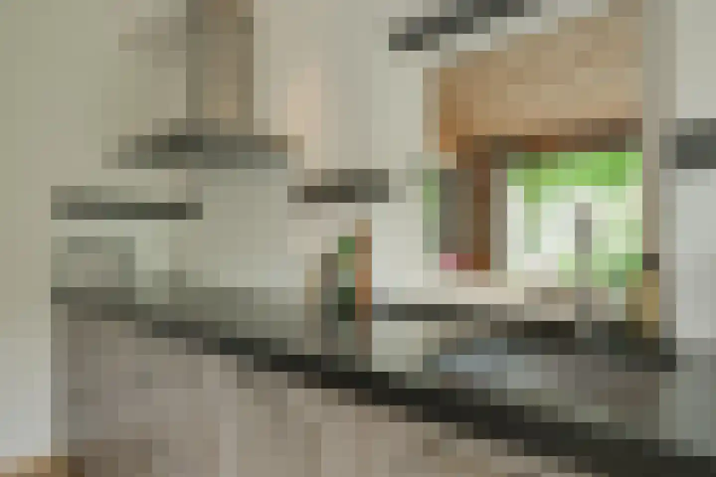 Batavenstraat 22 Aalten thumbnail 23