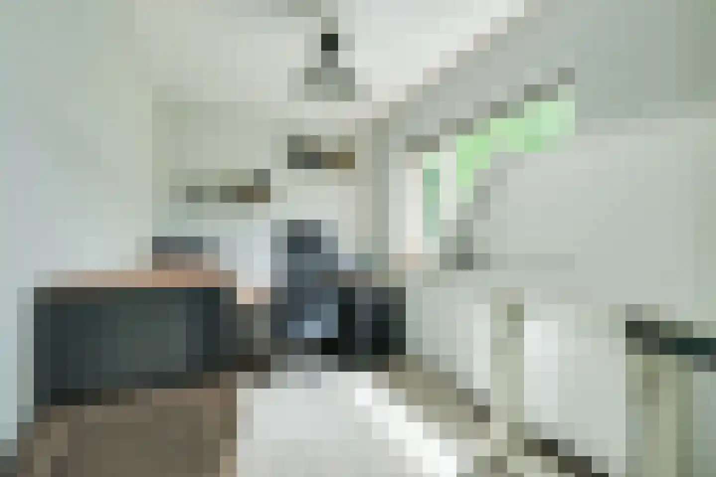 Batavenstraat 22 Aalten thumbnail 29