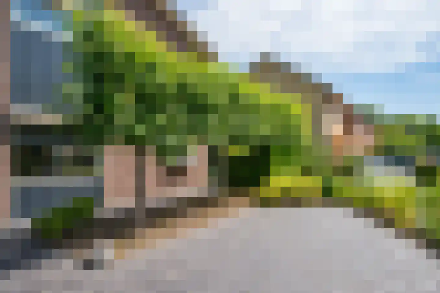 Batavenstraat 22 Aalten thumbnail 4