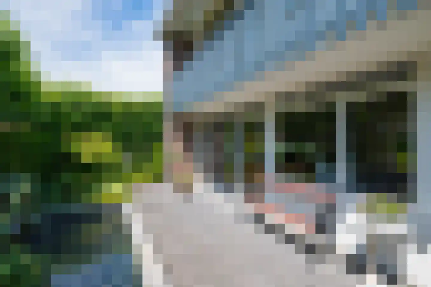 Batavenstraat 22 Aalten thumbnail 49