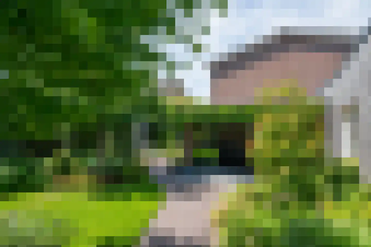 Batavenstraat 22 Aalten thumbnail 59