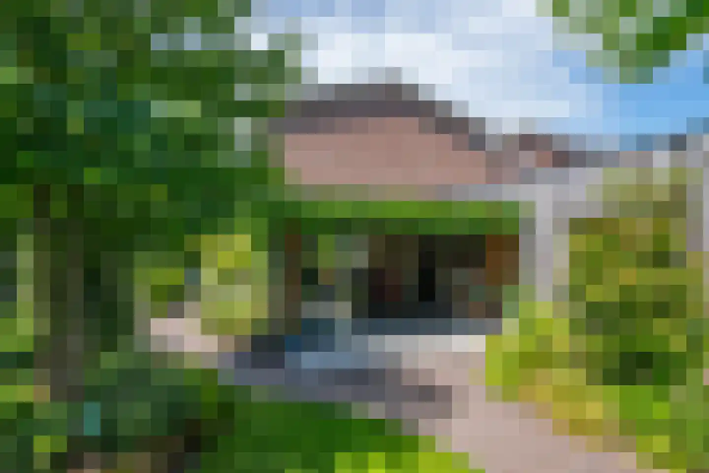 Batavenstraat 22 Aalten thumbnail 61