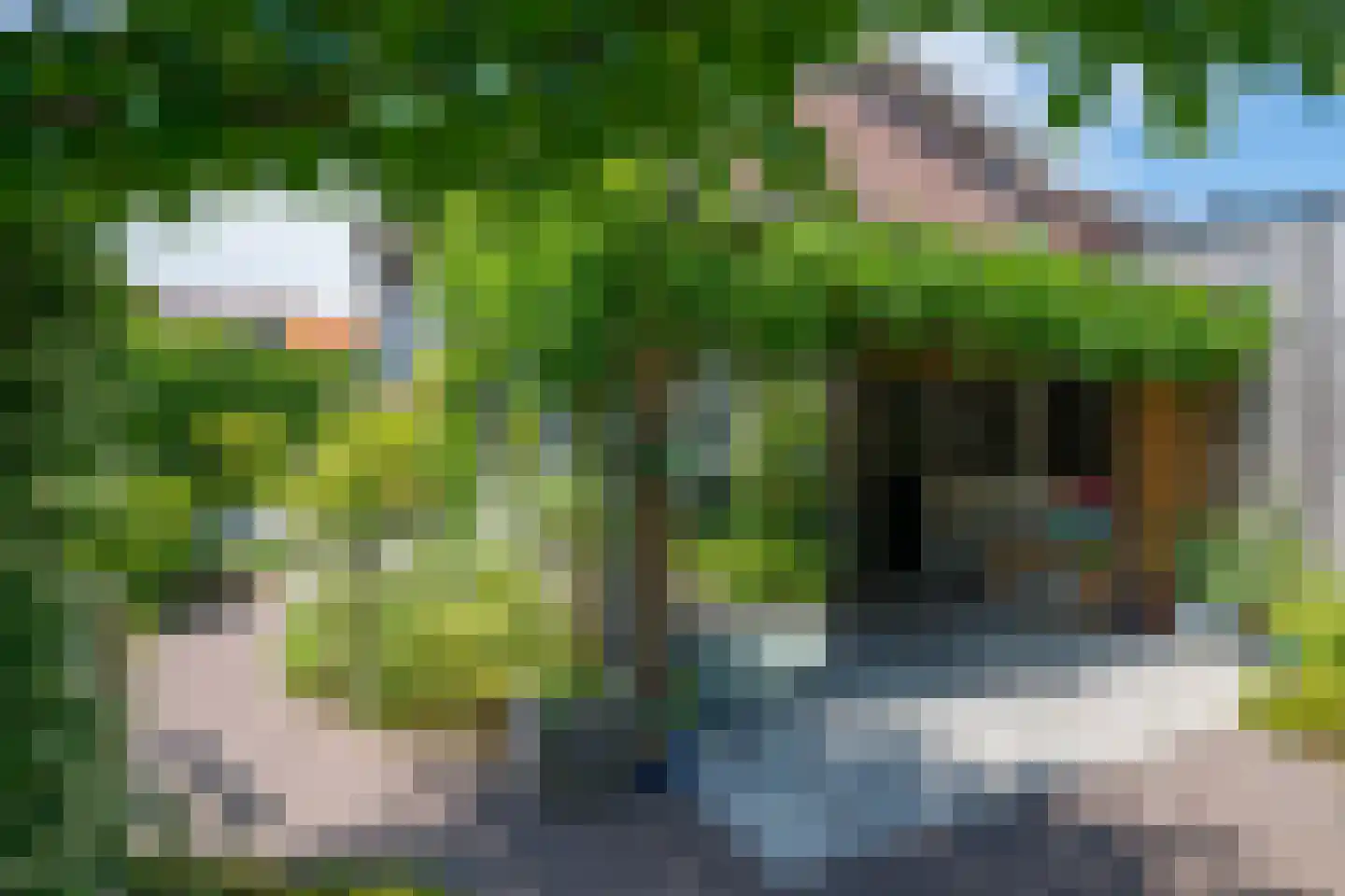 Batavenstraat 22 Aalten thumbnail 63