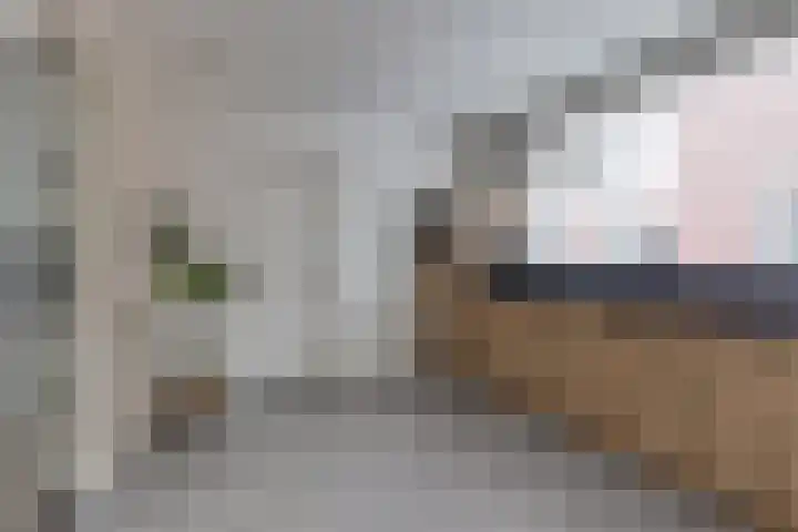 Batavenstraat 26 Aalten thumbnail 11
