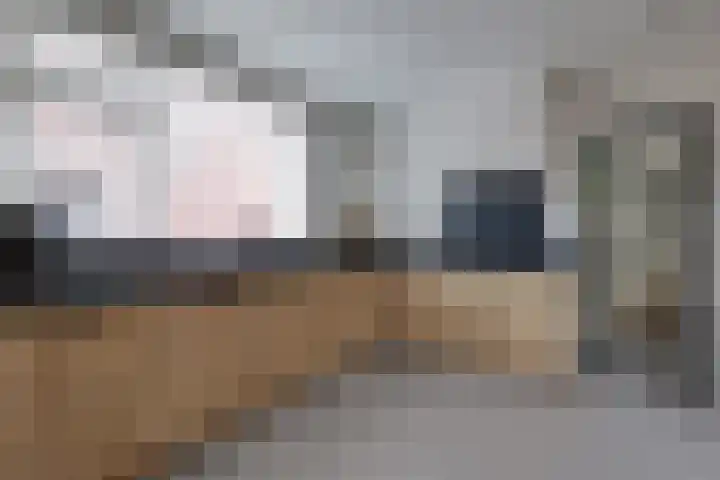 Batavenstraat 26 Aalten thumbnail 12