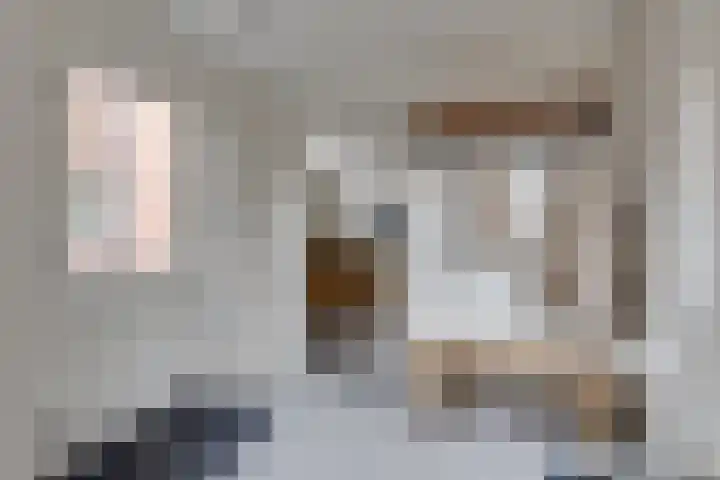 Batavenstraat 26 Aalten thumbnail 13