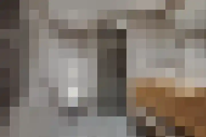 Batavenstraat 26 Aalten thumbnail 18