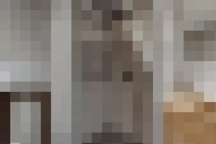Batavenstraat 26 Aalten thumbnail 20