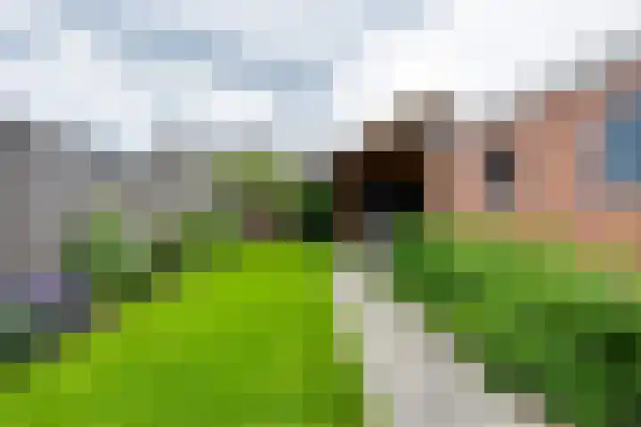 Batavenstraat 26 Aalten thumbnail 29