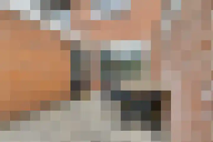 Batavenstraat 26 Aalten thumbnail 30