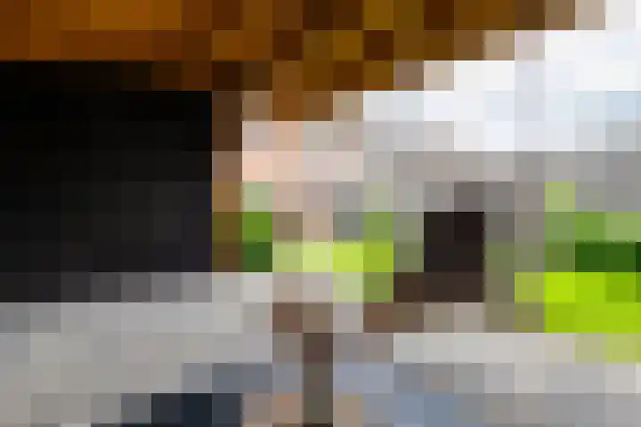 Batavenstraat 26 Aalten thumbnail 33