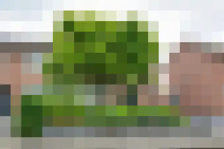 Batavenstraat 26 Aalten thumbnail 38