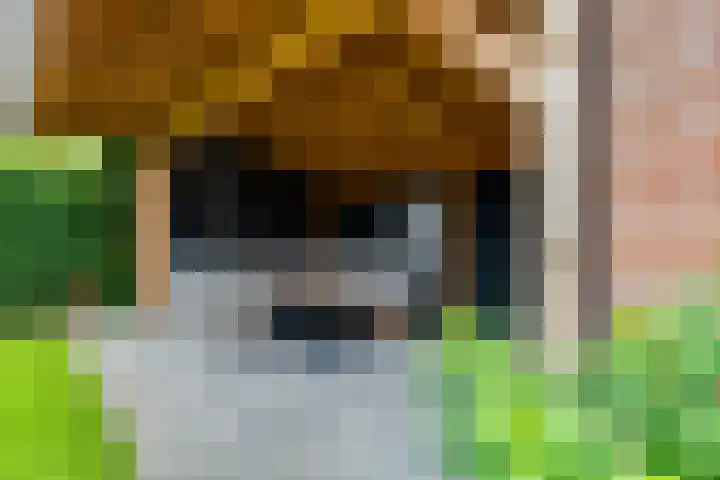 Batavenstraat 26 Aalten thumbnail 4