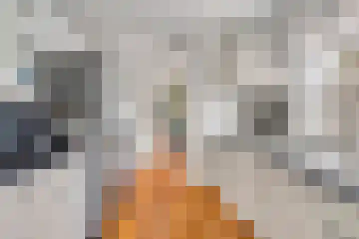 Bataviastraat 11 Tilburg thumbnail 10