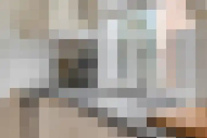 Bataviastraat 11 Tilburg thumbnail 11