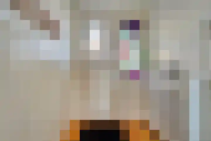 Bataviastraat 11 Tilburg thumbnail 14