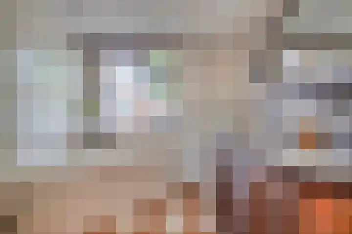 Bataviastraat 11 Tilburg thumbnail 22